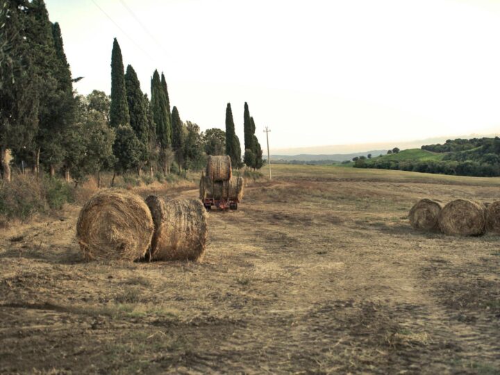 Parque Natural Regional Campo dei Fiori
