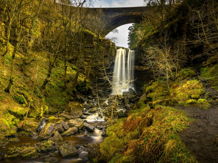 Parco Naturale Chafford Gorges