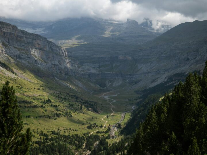 Parco Naturale Chafford Gorges