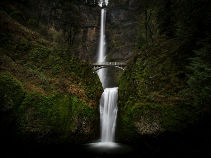Parco Naturale Chafford Gorges