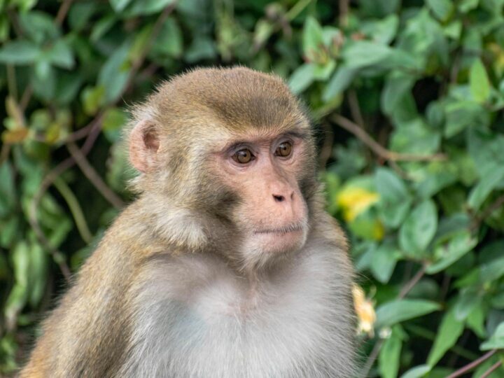 Dessau Lehrpark fr Tier und Pflanzenkunde Zoo
