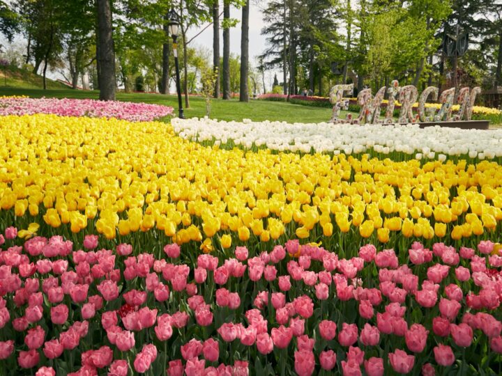 Jardin botanique cologique