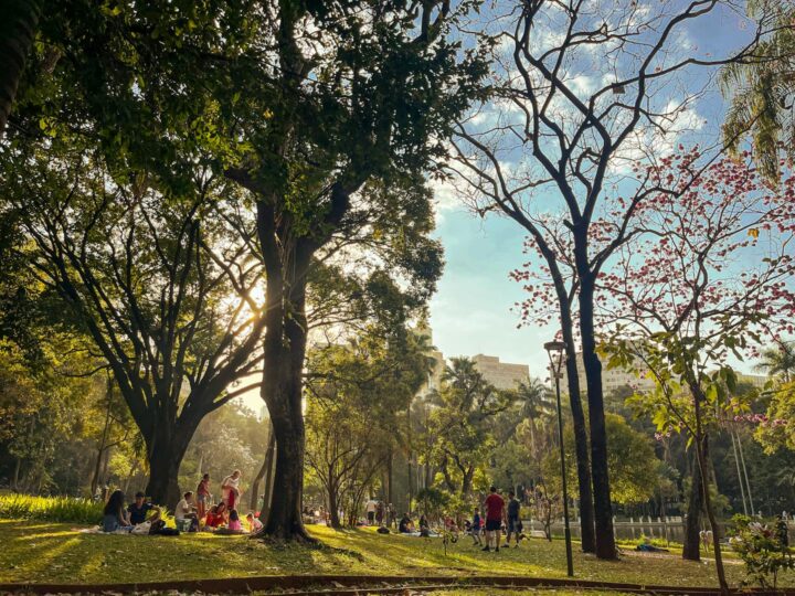ffentlicher Park Focani