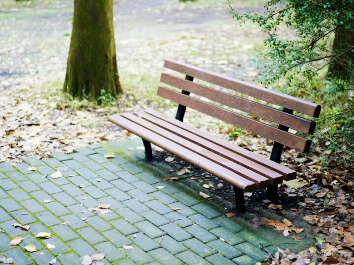ffentlicher Park Focani