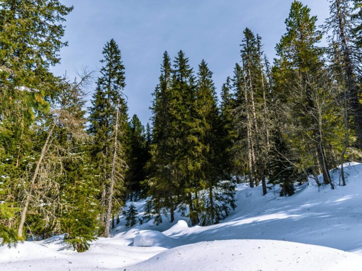 Low Tatras National Park
