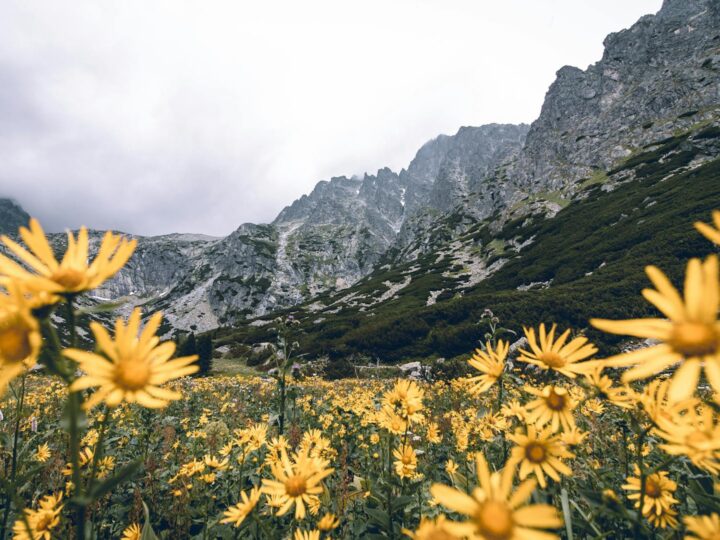 Low Tatras National Park