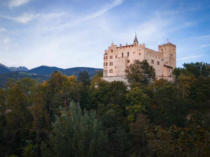 Muzeum Narodowe i Chteau de Pau  Oficjalne