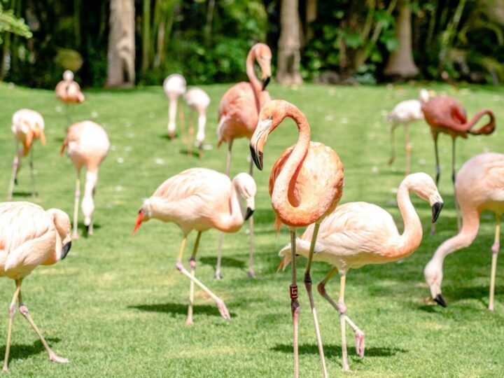 Parque natural Granat