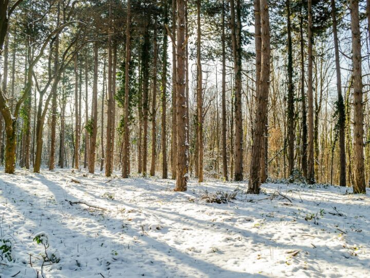 Parco Norvegese a Jelenia Gra