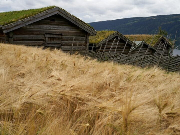Openair museum
