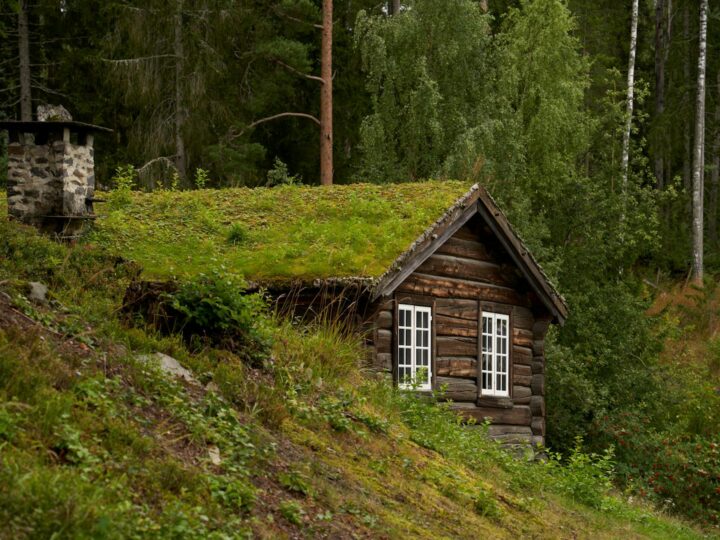 Openair museum