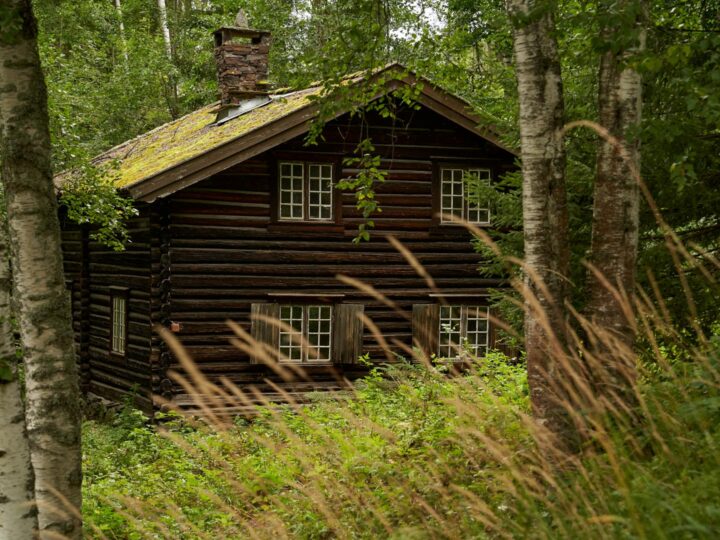 Openair museum