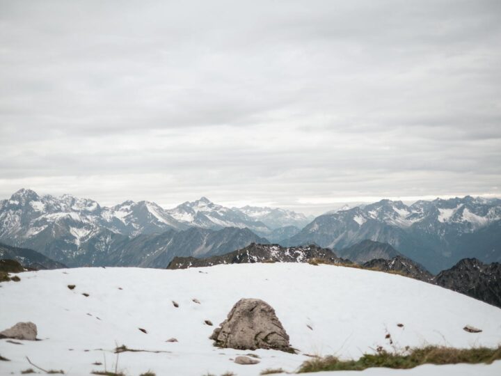 Plateau des potes