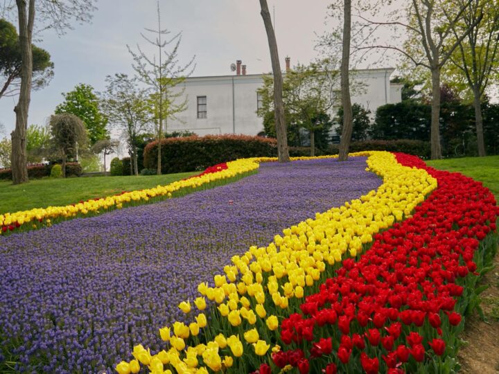 Jardin de roche