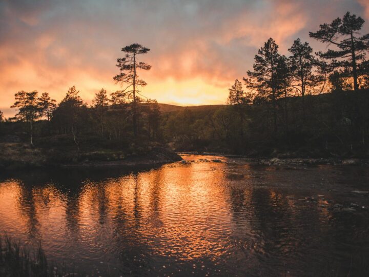 Arboreto di Rogaland