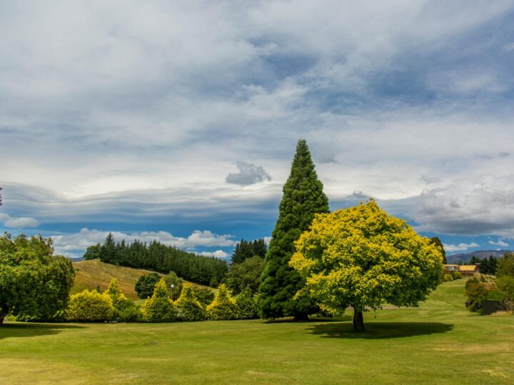 Valley Gardens Harrogate