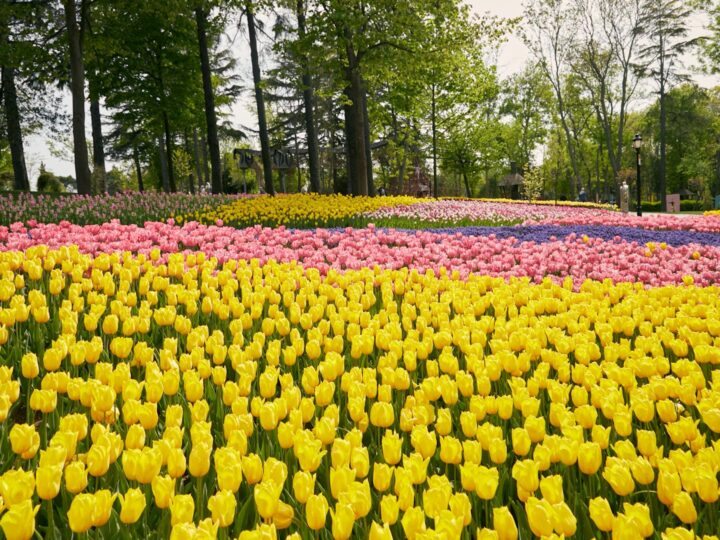 Weserufer Park