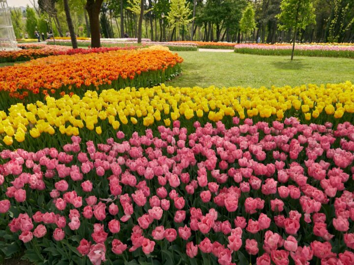 Weserufer Park
