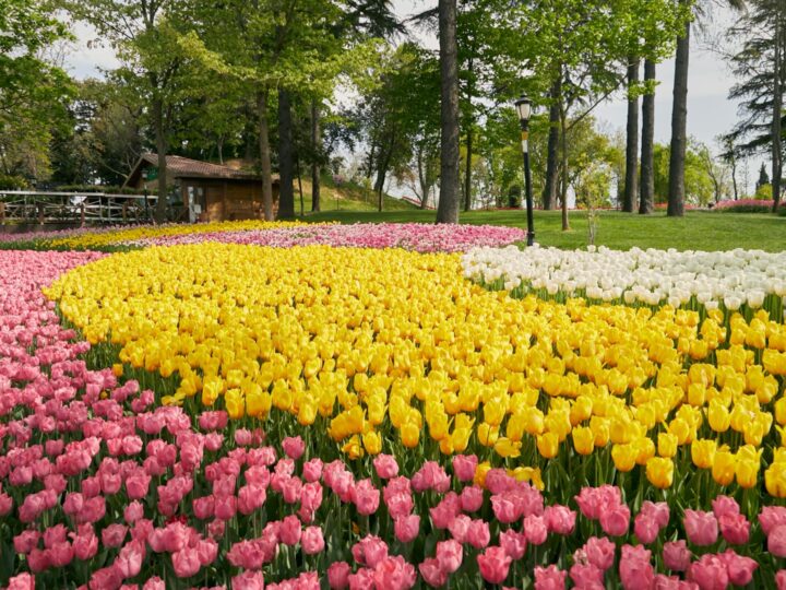 Weserufer Park