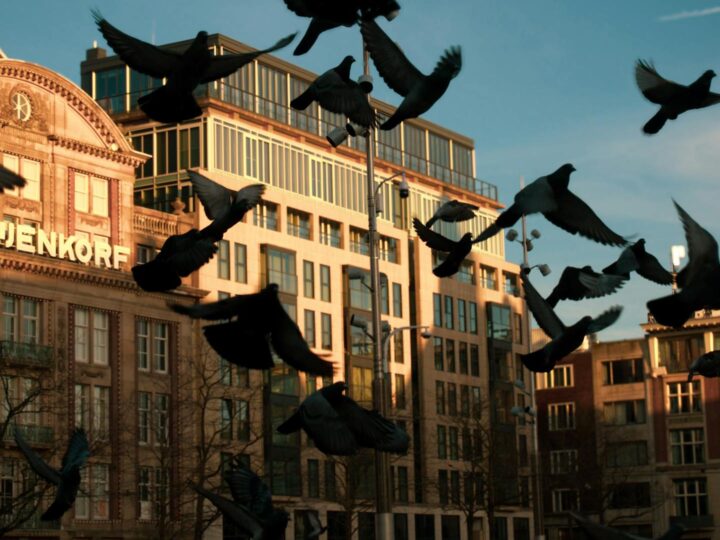 De Bijenkorf Amsterdam