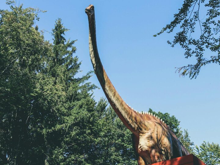 Parco dei dinosauri