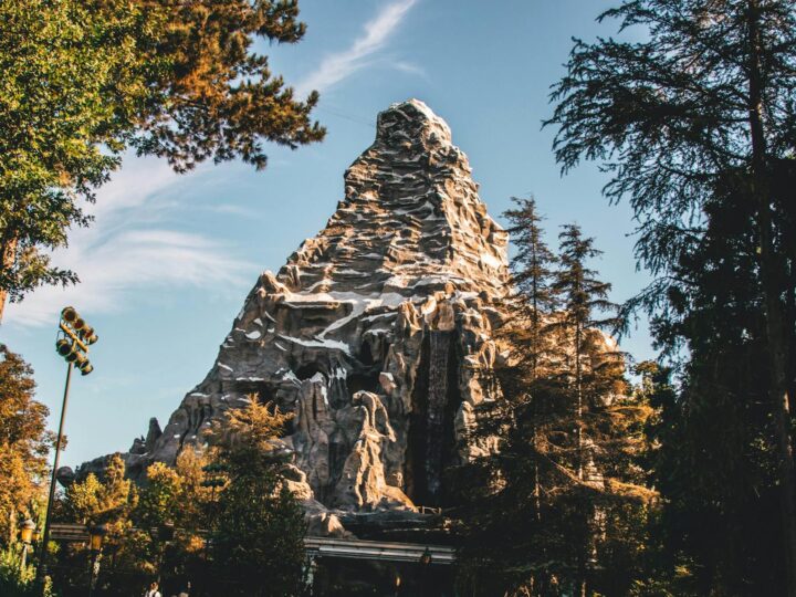 Disneyland Park