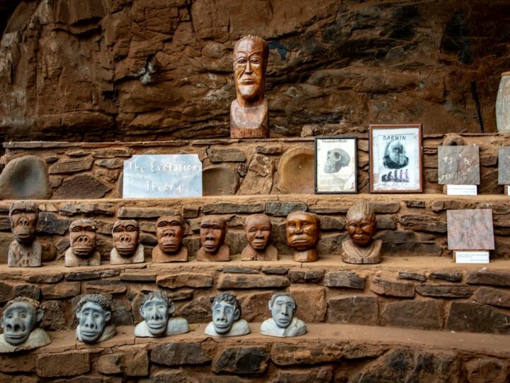 Homo Sapiens Museum