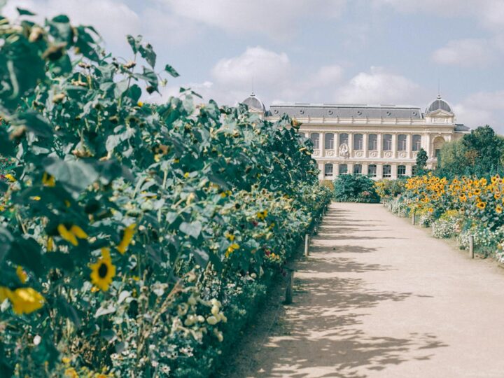 Jardines Jephson