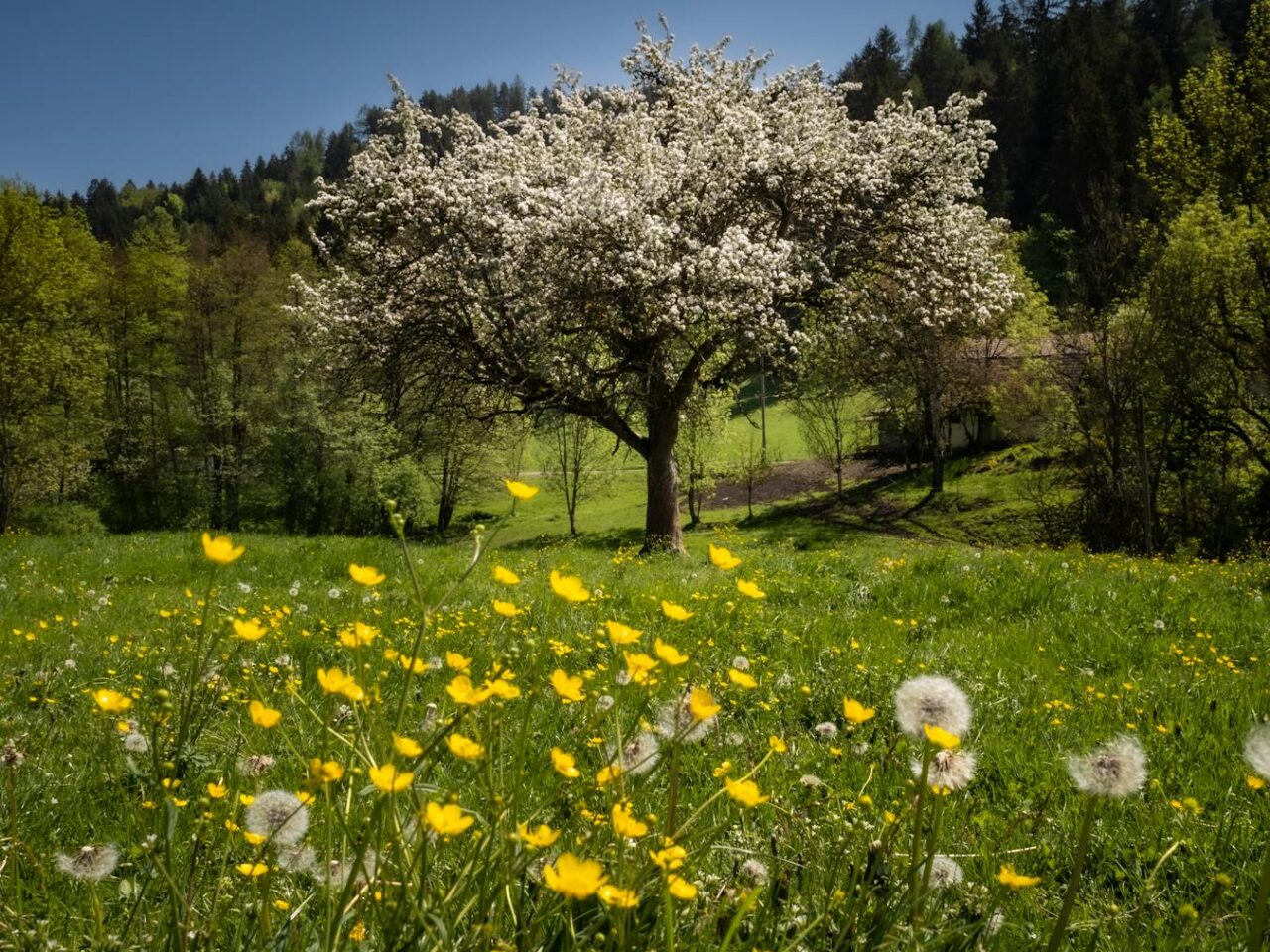 Visitez Klagenfurt am Wörthersee: Découvrez de nouvelles attractions incontournables et expériences - 2025