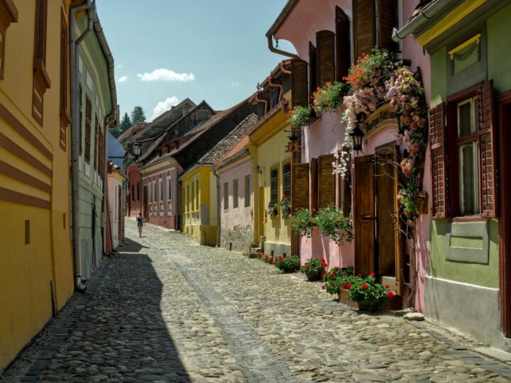 Mittelalterliche Festung von Trgu Mure