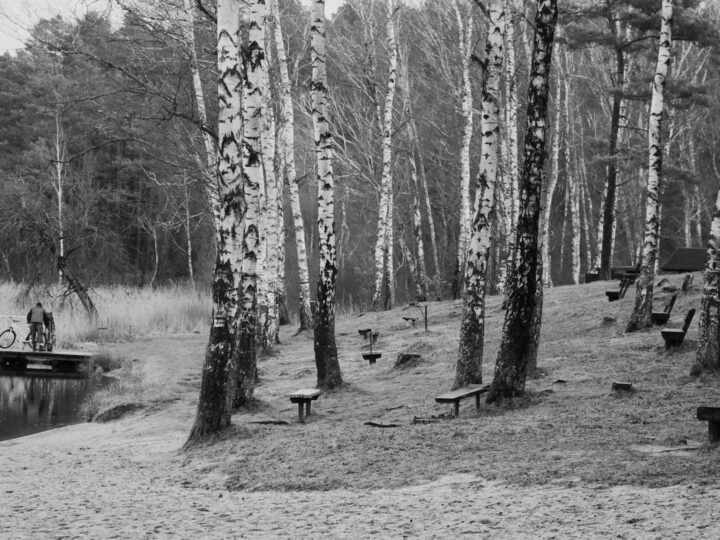 Peoples Park