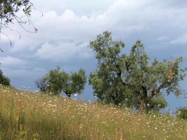 Прейський Хрест