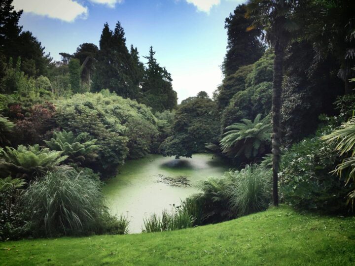 Walsall Arboretum