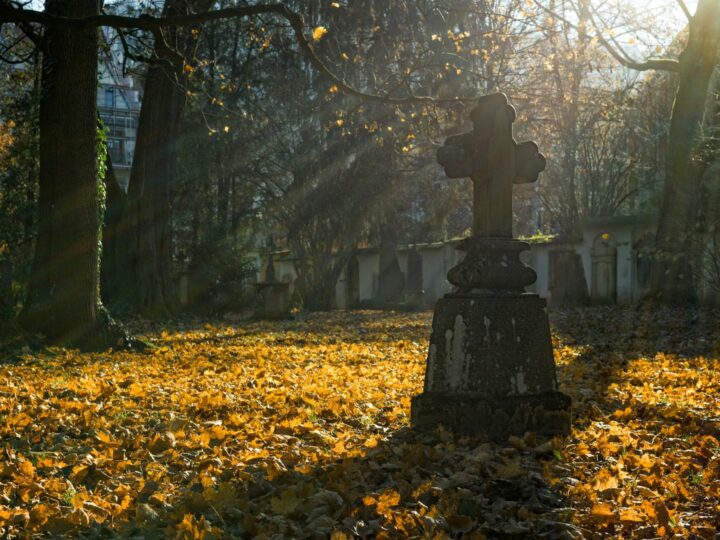 Parco commemorativo di Willenhall
