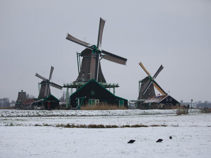 Atelier de sabot en bois de Zaanse Schans