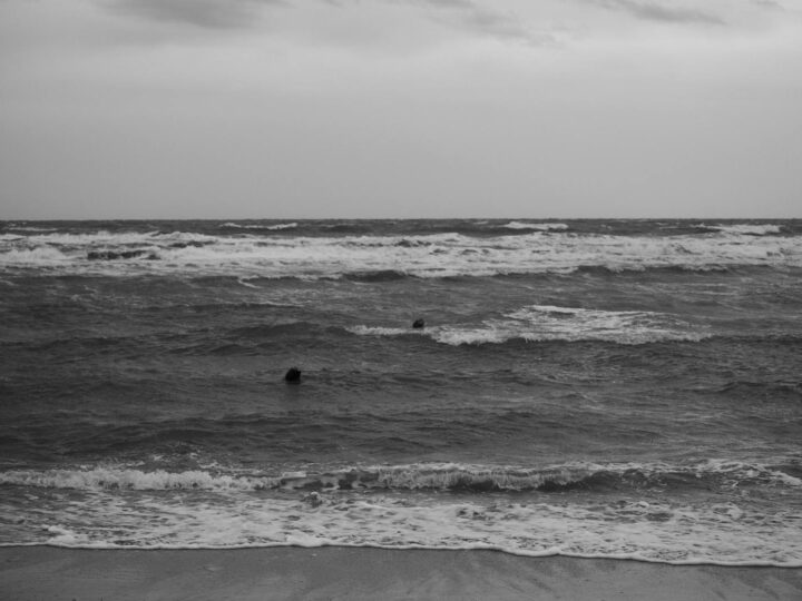 Aqua Natura