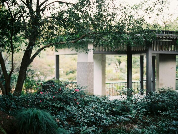 Arboretum Park Simeria
