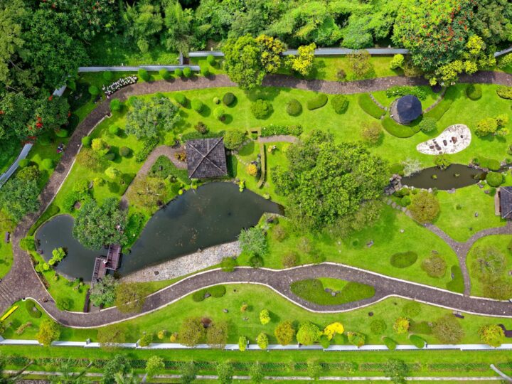 Arboretum Park Simeria