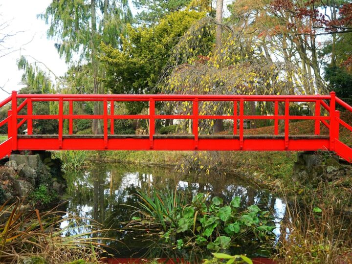 Arboretum Park Simeria