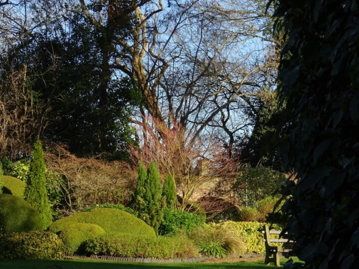 Arboretum Park Simeria