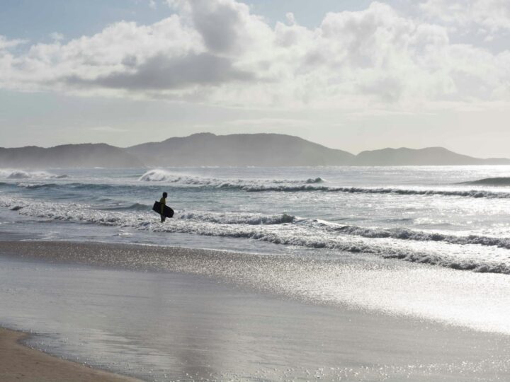 Playa de los Pelambres