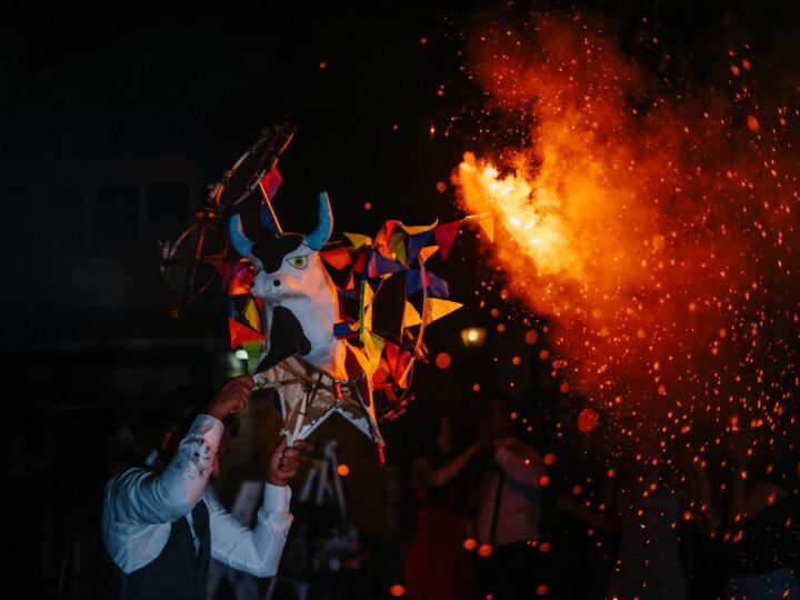 Fiesta de circo