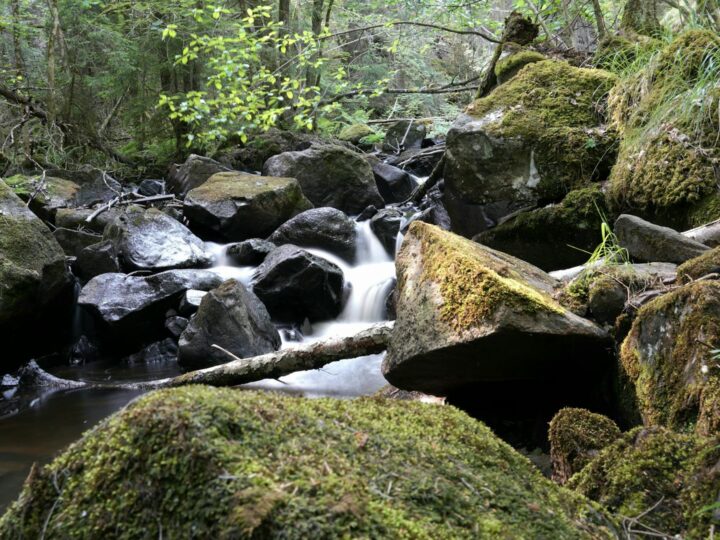 Wejcie do rzeki Colin Glen