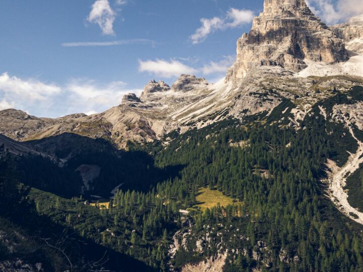 Naturpark Comana