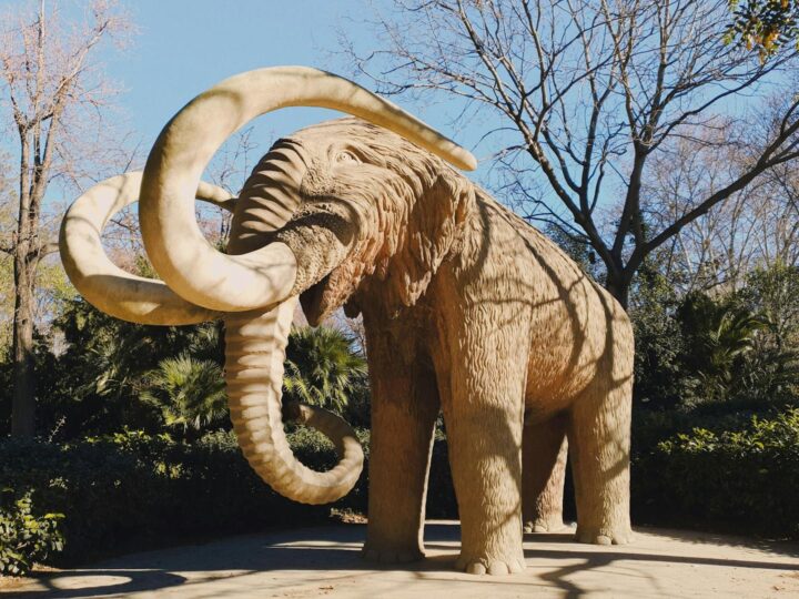 Kulturpark Neubrandenburg