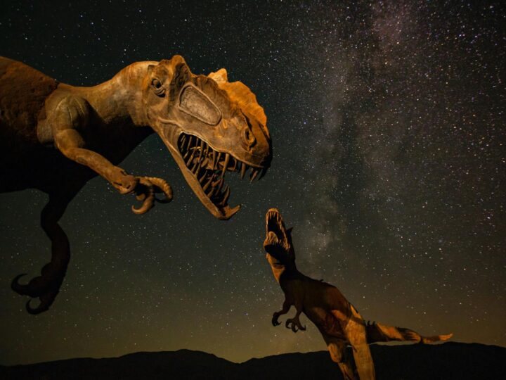 Dinosaurierwelt Transsylvanien