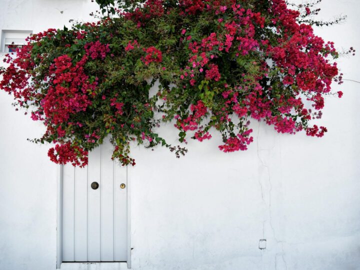 Europisches Haus der Fotografie