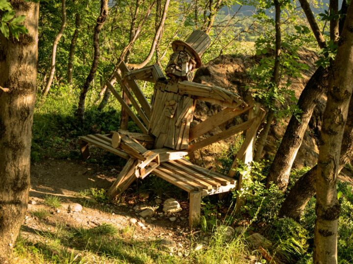 Parque forestal de Lubin