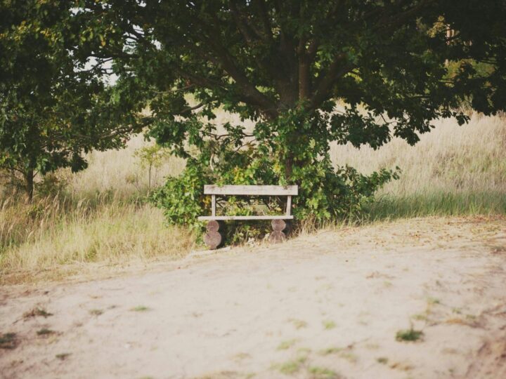 Parque forestal de Lubin