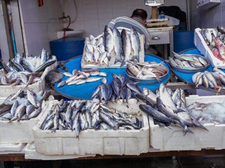 Antiga fbrica de pesca de atum Florio de Favignana e Formica